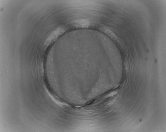 X0000071860638200607211918