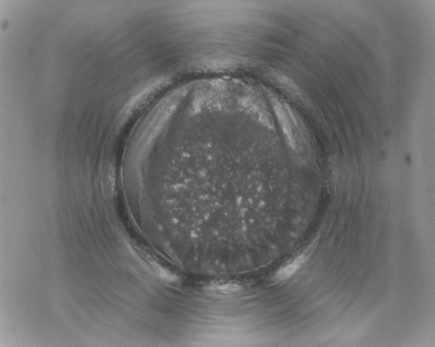 X0000071860640200607211918