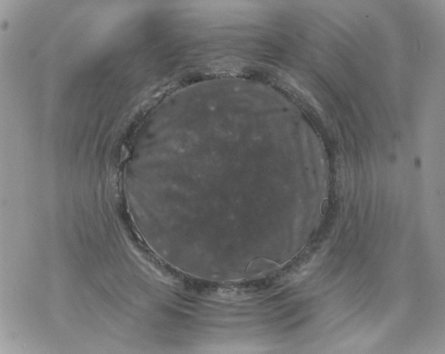 X0000071860641200607211918