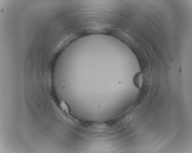 X0000071860642200607211918