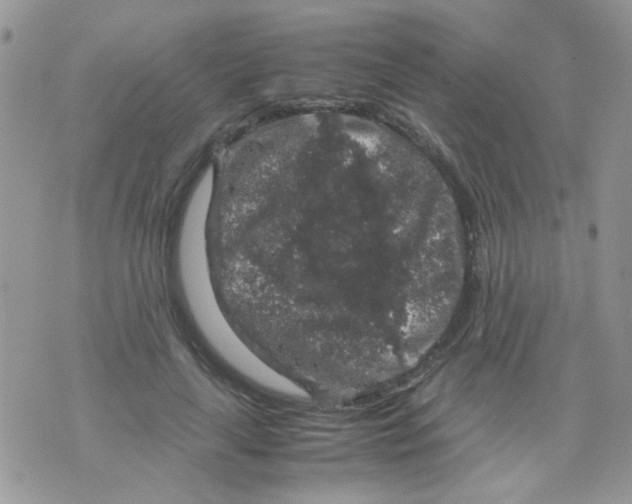 X0000071860643200607211918