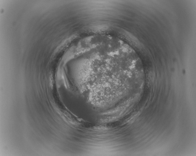 X0000071860644200607211918