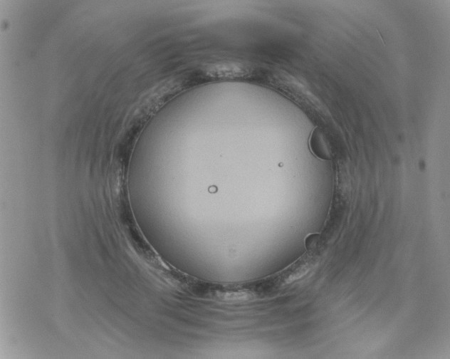 X0000071860645200607211918