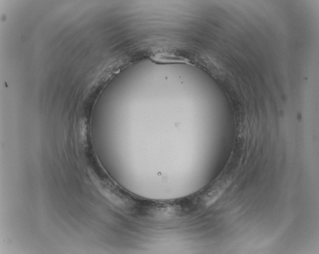 X0000071860646200607211918