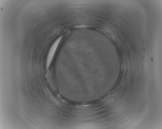 X0000071860647200607211918