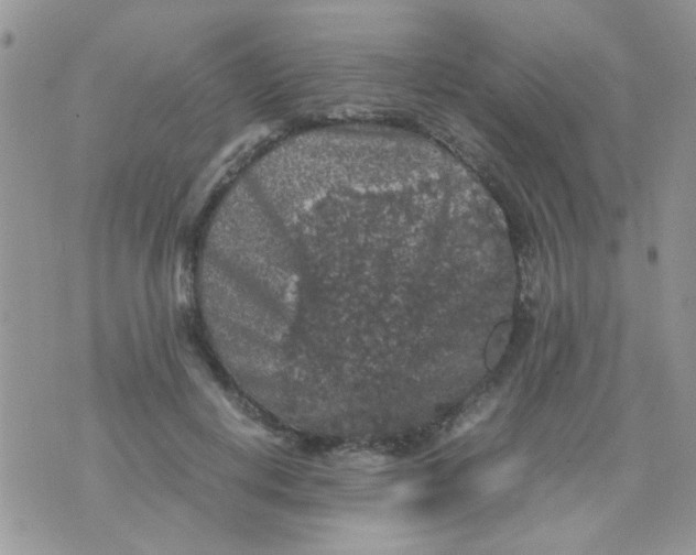 X0000071860648200607211918