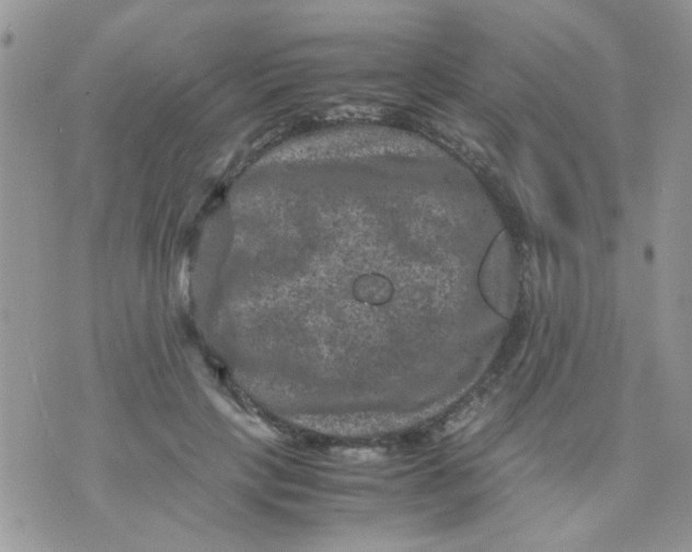 X0000071860649200607211918