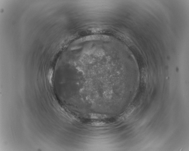 X0000071860650200607211918