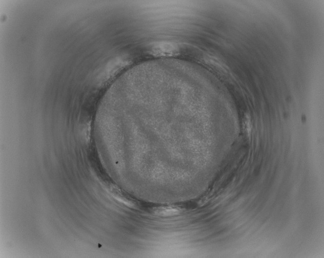 X0000071860652200607211918