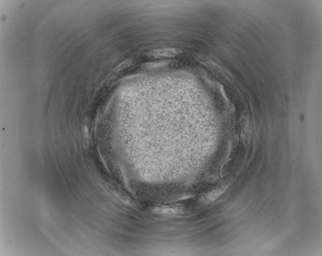 X0000071860655200607211918