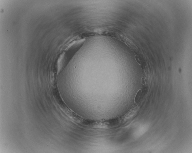 X0000071860656200607211918