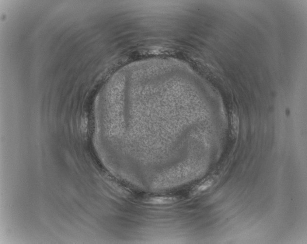 X0000071860657200607211918