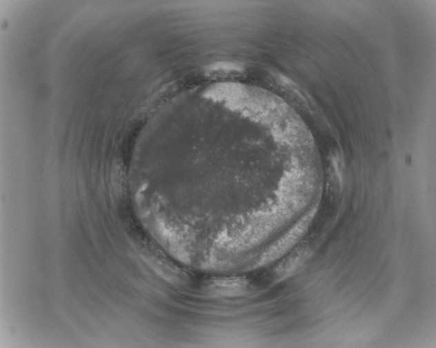 X0000071860659200607211918