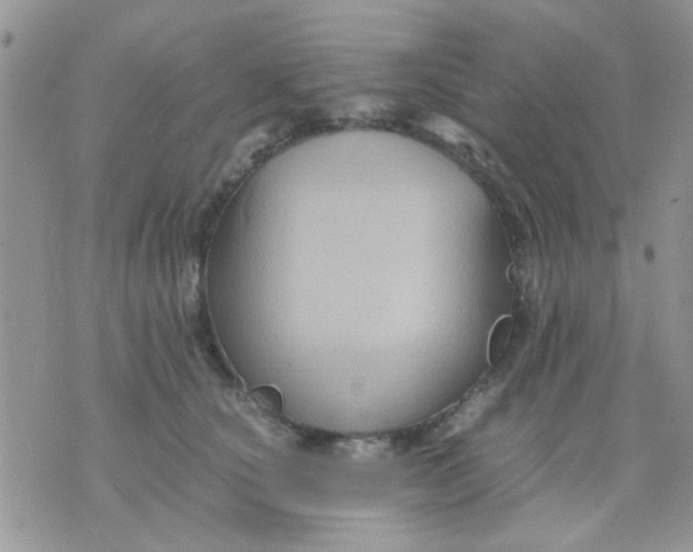 X0000071860660200607211918