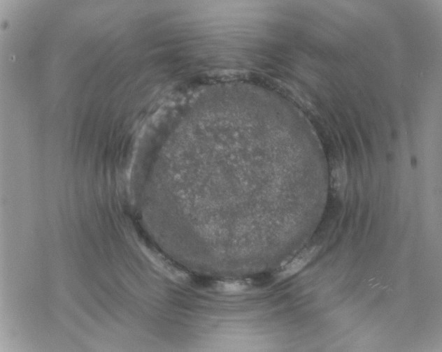 X0000071860662200607211918