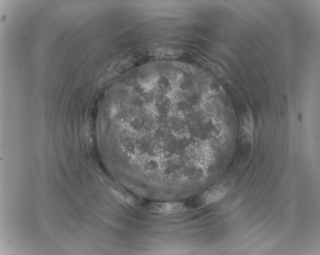 X0000071860663200607211918