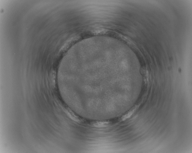 X0000071860664200607211918