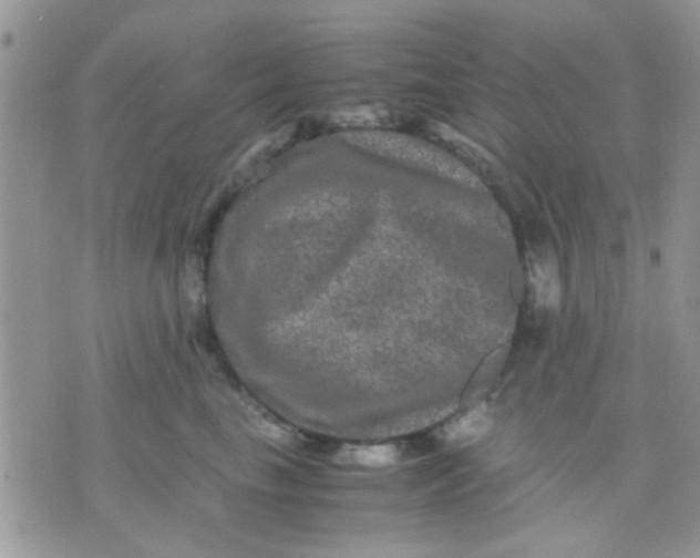 X0000071860665200607211918