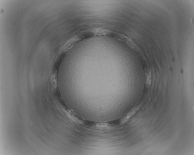 X0000071860666200607211918