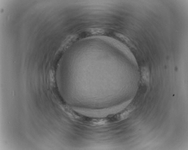 X0000071860667200607211918