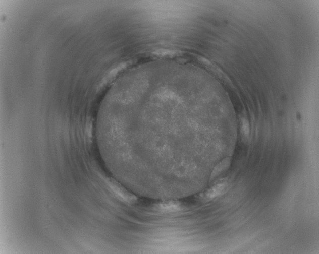 X0000071860668200607211918