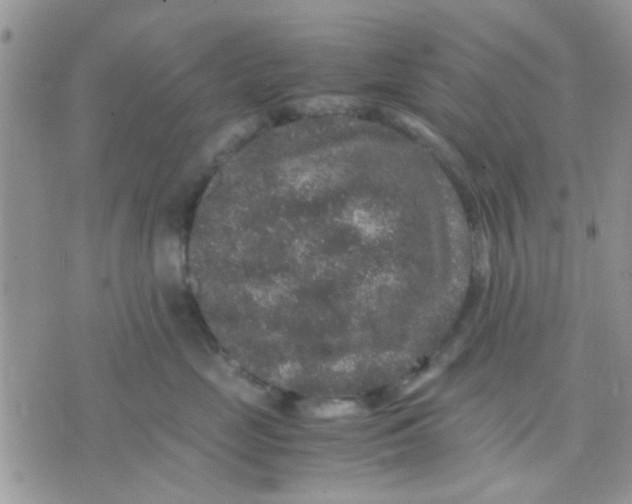 X0000071860669200607211919