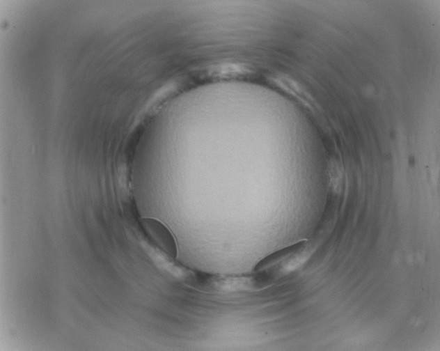 X0000071860670200607211919