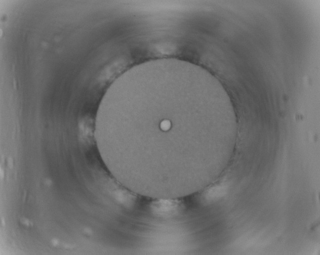 X0000071860672200607211919