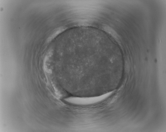 X0000071860673200607211918