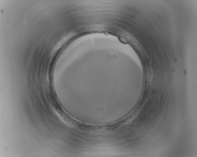 X0000071860674200607211918