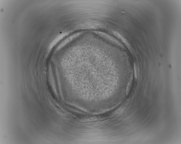 X0000071860675200607211918