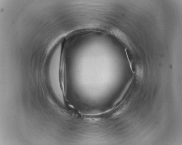 X0000071860676200607211918