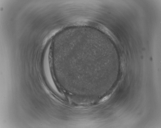 X0000071860677200607211918