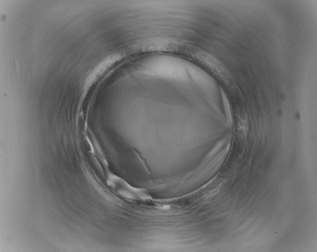 X0000071860678200607211918