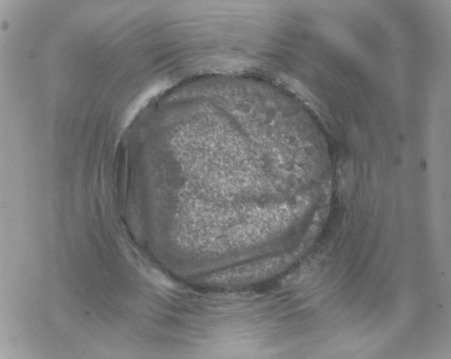 X0000071860679200607211918