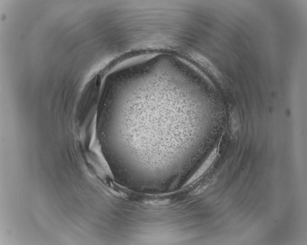 X0000071860680200607211918