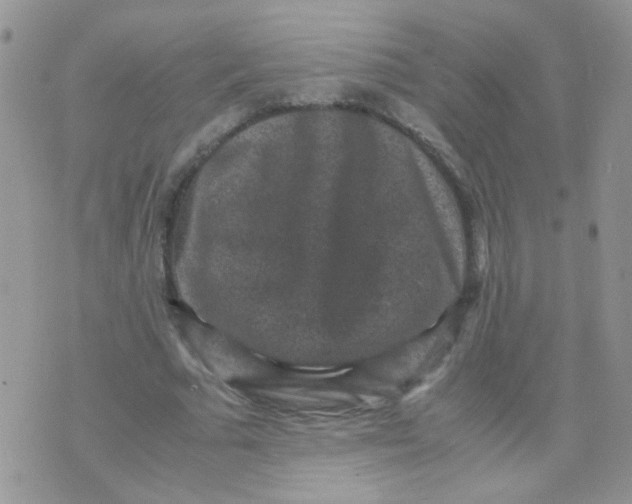 X0000071860681200607211918