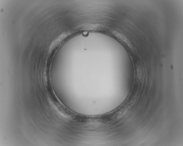 X0000071860682200607211918