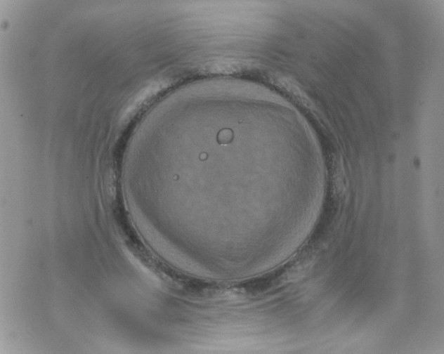 X0000071860683200607211918