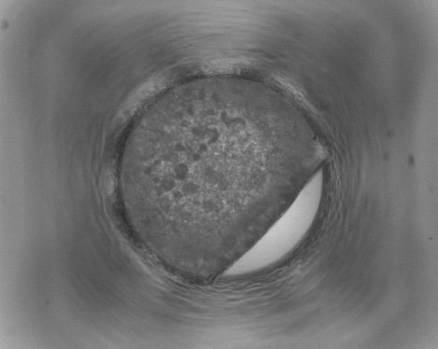 X0000071860687200607211918