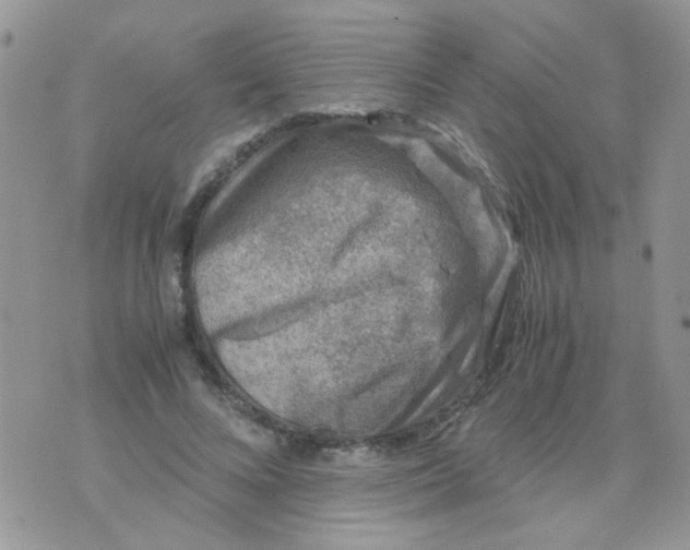 X0000071860688200607211918