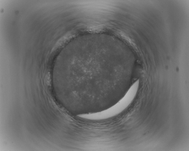 X0000071860689200607211918