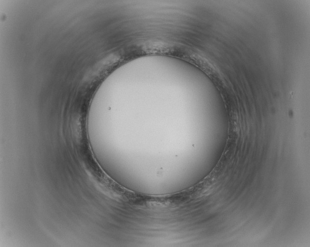 X0000071860690200607211918