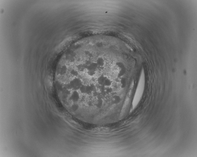 X0000071860691200607211917