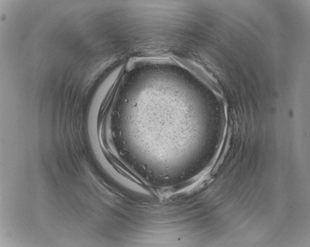 X0000071860692200607211917