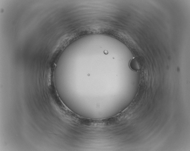 X0000071860694200607211917