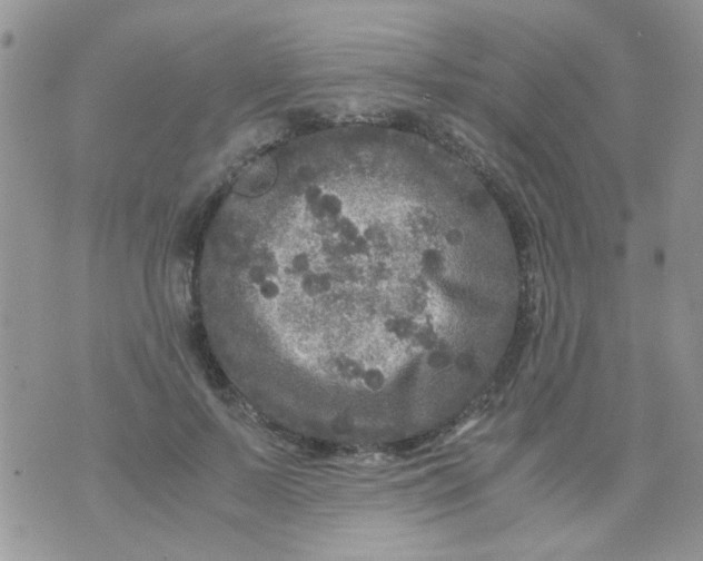 X0000071860695200607211917