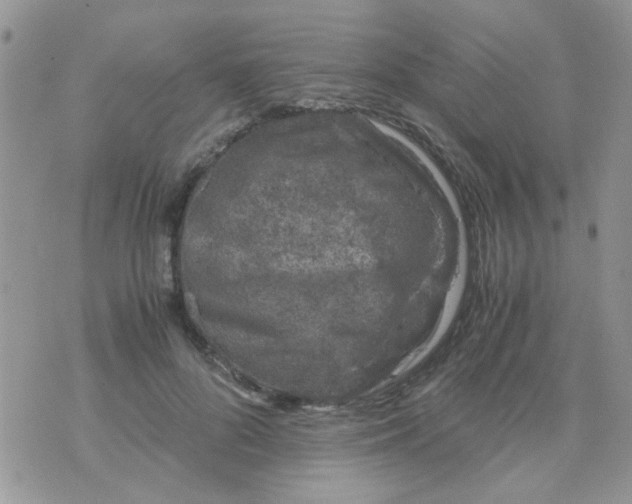 X0000071860696200607211917