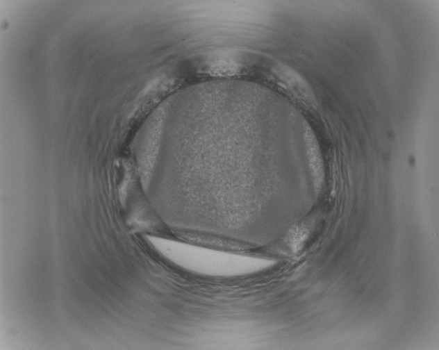 X0000071860697200607211917