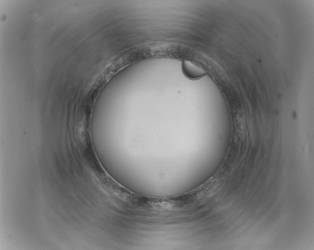 X0000071860698200607211917